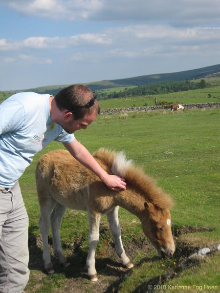 Tollef and foal