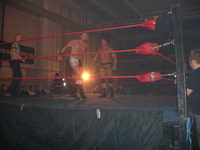  DSC00131.JPG 