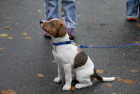  scaled_DSC_1745.JPG 