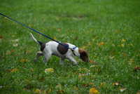  scaled_DSC_1750.JPG 