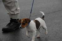  scaled_DSC_1755.JPG 