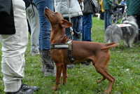  scaled_DSC_1761.JPG 