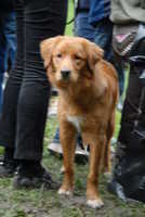  scaled_DSC_1768.JPG 