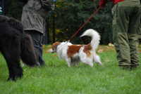  scaled_DSC_1770.JPG 