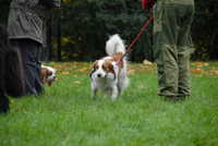  scaled_DSC_1771.JPG 