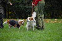  scaled_DSC_1772.JPG 