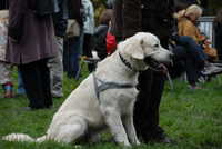  scaled_DSC_1775.JPG 