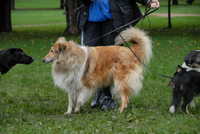  scaled_DSC_1777.JPG 