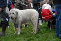  scaled_DSC_1778.JPG 