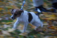  scaled_DSC_1780.JPG 