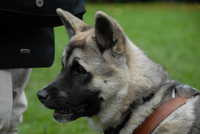  scaled_DSC_1783.JPG 