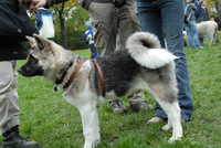  scaled_DSC_1784.JPG 
