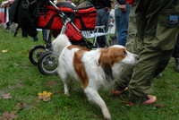  scaled_DSC_1785.JPG 