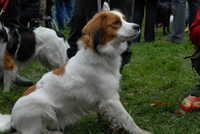 scaled_DSC_1787.JPG 