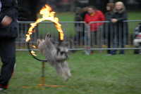  scaled_DSC_1788.JPG 