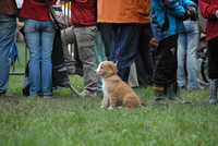  scaled_DSC_1797.JPG 