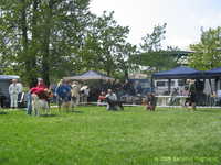  img_0970.jpg 