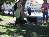  img_1051.jpg 