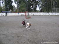  img_1442.jpg 