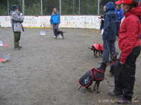  img_1448.jpg 