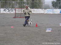  img_1459.jpg 