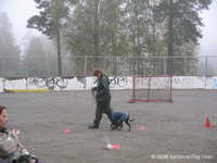  img_1475.jpg 
