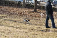  DSC_7737.JPG 