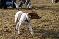  DSC_7742.JPG 