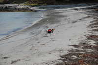  DSC_8016.JPG 