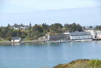  DSC_8027.JPG 