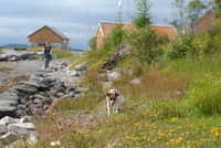  DSC_8516.JPG 