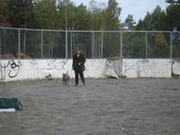  DSC00016.JPG 