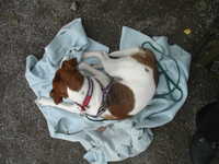  DSC00018.JPG 