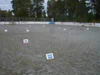 DSC00029.JPG 