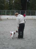  DSC00034.JPG 
