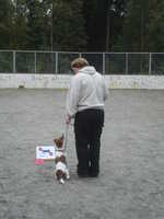  DSC00035.JPG 