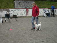  DSC00036.JPG 