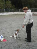  DSC00037.JPG 