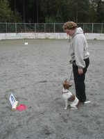  DSC00038.JPG 