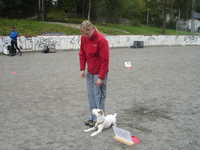  DSC00040.JPG 