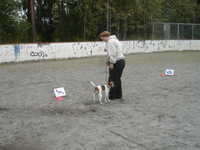  DSC00041.JPG 