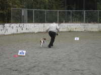  DSC00043.JPG 