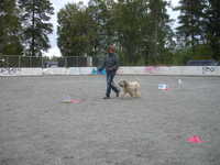  DSC00045.JPG 
