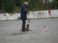  DSC00048.JPG 