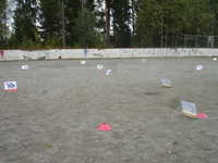  DSC00049.JPG 