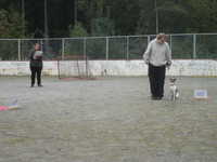  DSC00051.JPG 