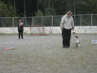  DSC00053.JPG 