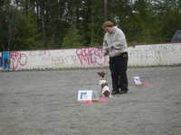  DSC00061.JPG 