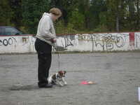  DSC00063.JPG 