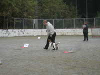  DSC00065.JPG 